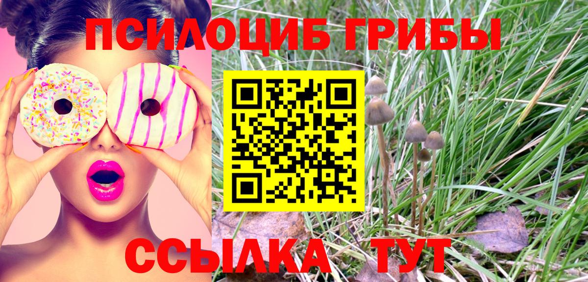 Галлюциногенные грибы ЛСД  Вход с VPN  Зеленогорск 